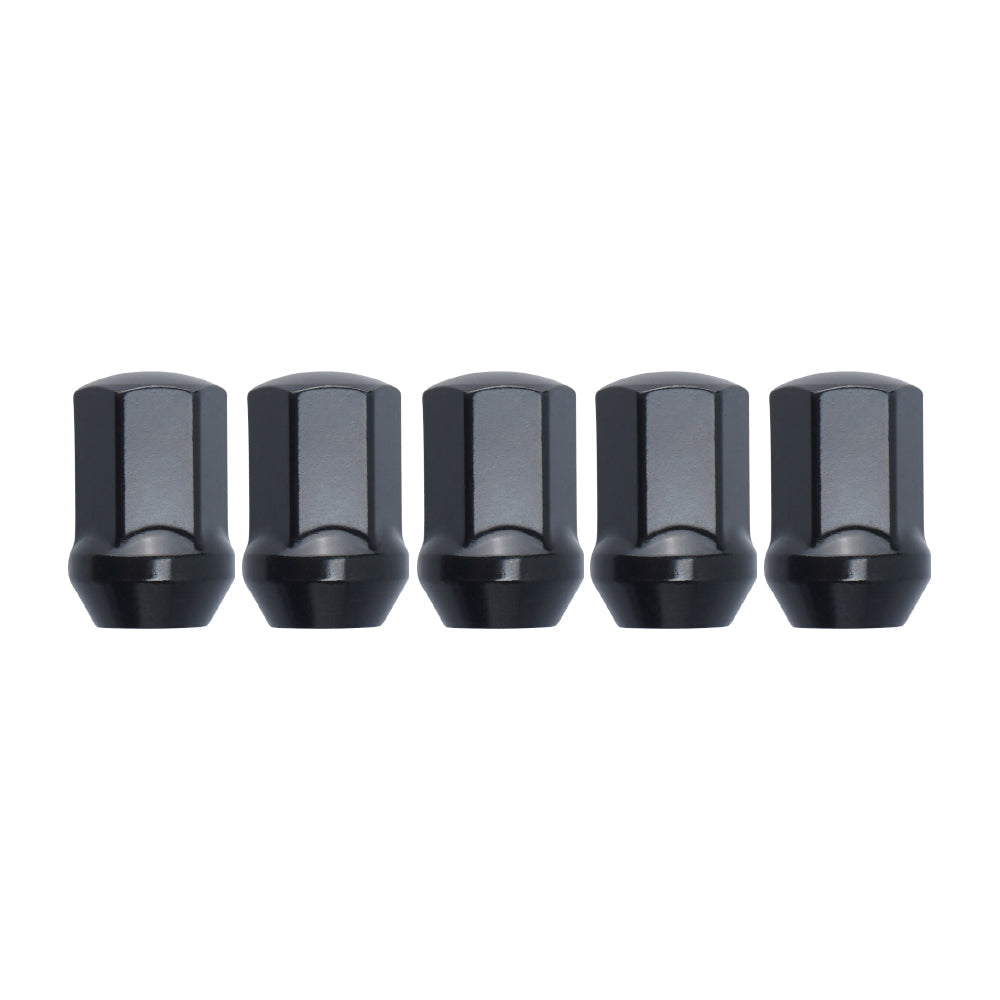 F2 Steel Lug Nuts M12x1.25 w/ Lock Kit, Black